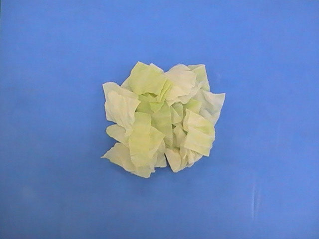 キャベツ角切り3cm