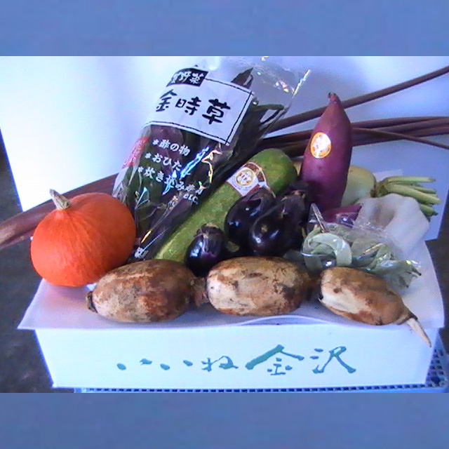 ピーマンスライス３ｍｍ